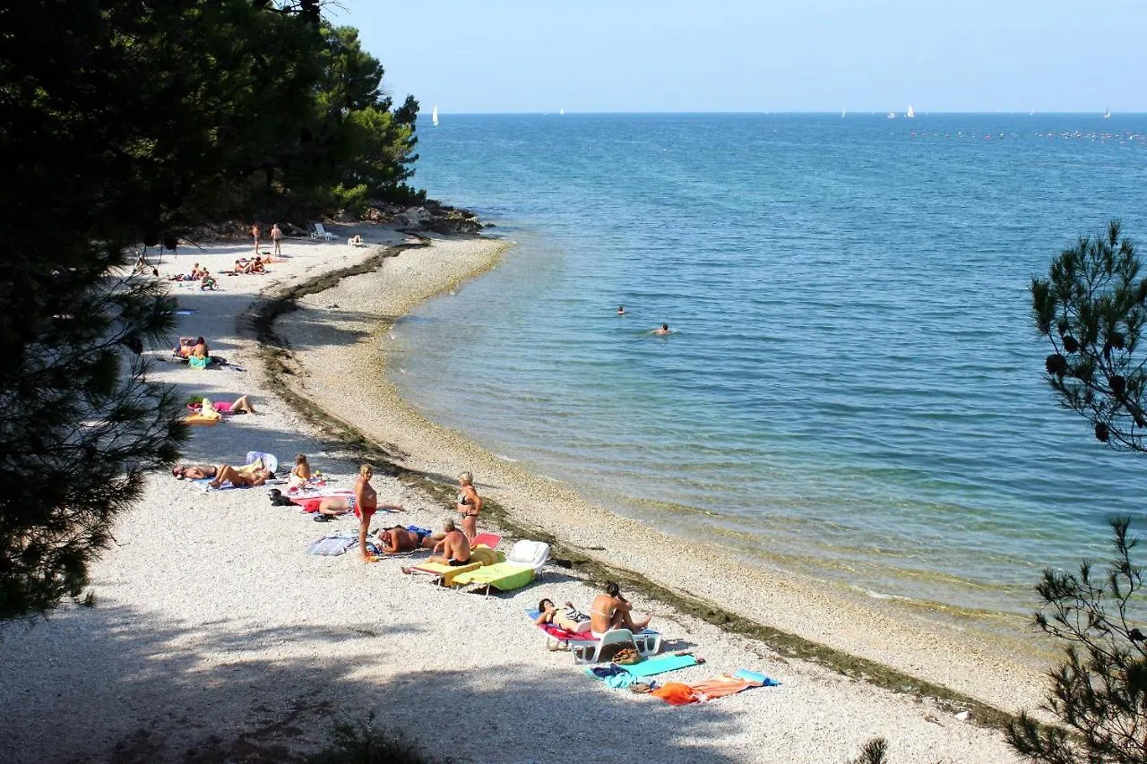 Family Friendly Apartments With A Swimming Pool Kastel, Central Istria - Sredisnja Istra - 21309 Buje
